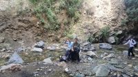 gallery_latest_0